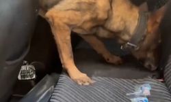Zehir taciri aracındaki 1 kilo kokain ile yakalandı
