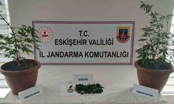 Balkonda uyuşturucu yetiştirdi
