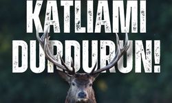 Eskişehir ve Kütahya'daki av ihalesine tepki
