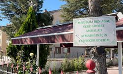 Eskişehir'de ağaçların insanlara mesajı var