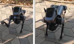 Kent merkezindeki robot köpek görenleri hayrete düşürdü