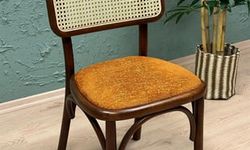 Modern Sandalye Tasarımları ile Sofistike Mekanlar