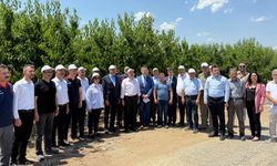 Zirai don desteği çiftçiye hayal kırıklığı yaşattı…