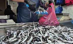 Yaz sıcakları palamudu vurdu, yerini...