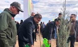 11 Kasım Milli Ağaçlandırma Günü’nde 20 bin fidan dikildi