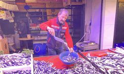 Eskişehir'de hamsi kaç TL'den satılıyor