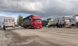 Pancar yüklü tır polisi alarma geçirdi