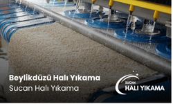 Beylikdüzü Halı Yıkama Fiyatları ve Hizmet Kalitesi