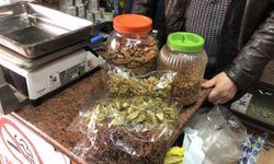 Bu yıl ıhlamur değer kazandı