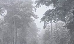 Eskişehir'e mevsimin ilk karı yağdı