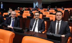 Milletvekili Hatipoğlu, Kültür ve Spor Bakanlığı bütçe görüşmelerine katıldı