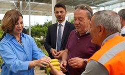 Büyükşehir 2025’te temiz çevreye büyük katkı sağladı