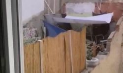 Eskişehir'de köpeğe eziyet eden şahıs yakalandı