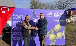 Eskişehir’de zeytin geleceğe kök salıyor