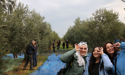 Gençler zeytinin yolculuğuna tanıklık etti