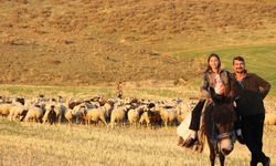 Küçük kız baba mesleği çobanlığı devam ettiriyor