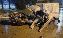 TIR dorsesi park halindeki araçları ezdi