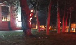 Vandallar tarihi ağacı yaktı!