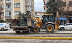 Eskişehir'de fırtına sebebiyle ağaçlar devrildi