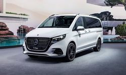 VIP Dönüşüm Nedir?