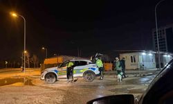 Alkollü yakalanan sürücü, karakola köpeğiyle gitti