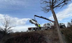Kamyonet ile otomobil çarpıştı, 3 kişi yaralandı