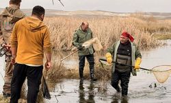 Balıkdamı’nda Doğa Temelli Çözüm Seferberliği