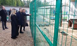 Başkan Ataç Doğal Yaşam Merkezi’nde İncelemelerde Bulundu