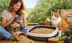Doğa Dostu ve Çevreye Duyarlı Pelet Kedi Kumu