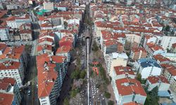 Hamamyolu Caddesi’nde ağaç budama çalışması başlıyor