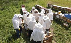 Odunpazarı Arıköy kayıtları başlıyor