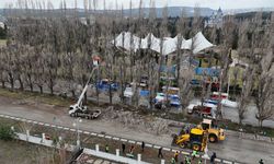 Ömrünü tamamlayan kavaklar yerini çınarlara bırakıyor