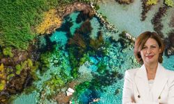 Tek sorumlu olarak belediye gösterilemez