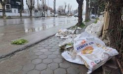 Eskişehir'e yakışmayan görüntüler