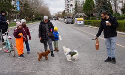 Arabasız pazar’da cadde ve sokaklar vatandaşlara açıldı