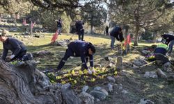 Büyükşehirden şehitliklere anlamlı dokunuş