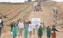 Orman Haftası Hazırlıkları Tamamlandı