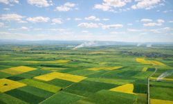 Termik Santral için iptal kararı çıktı