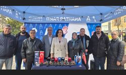 Anahtar Parti’den Sokak Hayvanları İçin Çözüm Vurgusu