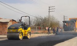 Büyükşehir belediyesinde asfalt çalışmaları start aldı