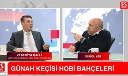 Eskişehir’de Hobi Bahçeleri Dosyası: "Günah Keçisi İlan Edildik!"