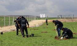 Fidanlar Kent Korusu’nda Hayat Buluyor