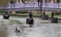 Gondollara Porsuk'ta ördekler eşlik etti