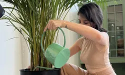 Havayı Temizleyen İç Mekan Bitkileri İle Yaşam Alanınızı Yenileyin