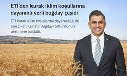 Kanatlı Buğday için üretime geçildi