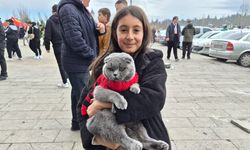 Küçük çocuk Eskişehirspor maçına kedisi ile geldi