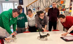 Özel çocuklardan sokak hayvanlarına sıcak yuva