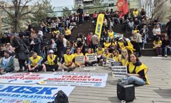 Şiddet Münferit Değil, Sistematik Bir Sorundur