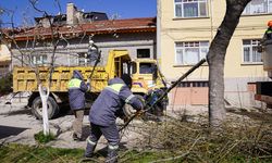 Tepebaşı’nda budama çalışmaları sürüyor