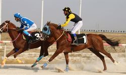 At Yarışı Tahminleri 2026 Rehberi: Veriye Dayalı Tahmin Nasıl Okunur?